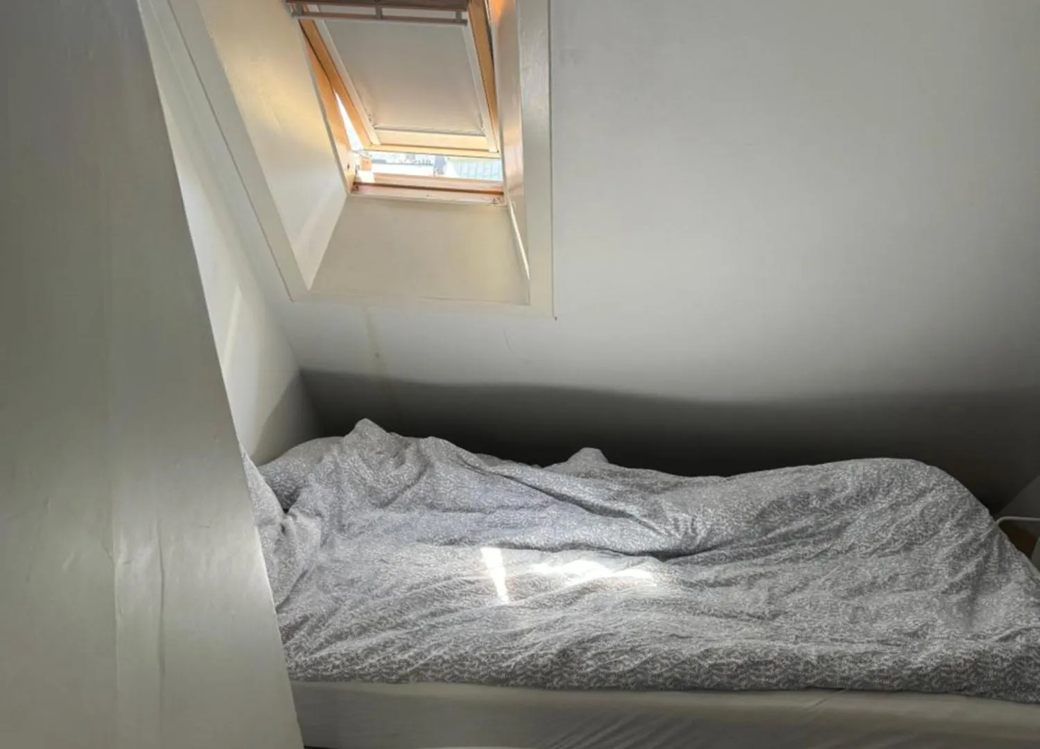 Spacious And Central Apartment I 250M From Bryggen Bergen